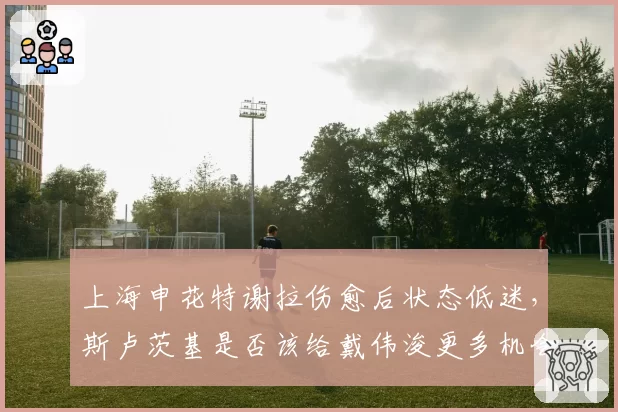 上海申花特谢拉伤愈后状态低迷，斯卢茨基是否该给戴伟浚更多机会？