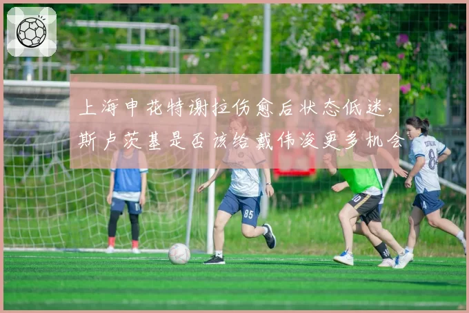 上海申花特谢拉伤愈后状态低迷，斯卢茨基是否该给戴伟浚更多机会？