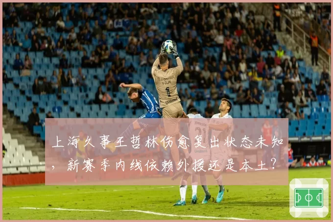 上海久事王哲林伤愈复出状态未知，新赛季内线依赖外援还是本土？